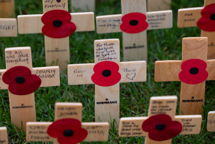 National Memorial Arboretum Field of Remembrance 2024 - National Memorial Arboretum Field of Remembrance 2024 - Find your Tribute and Tea (11:15am-2:15pm)